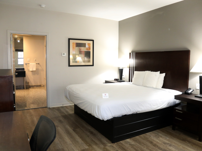 Guest room with one bed, desk, lighting, and bathroom entrance
